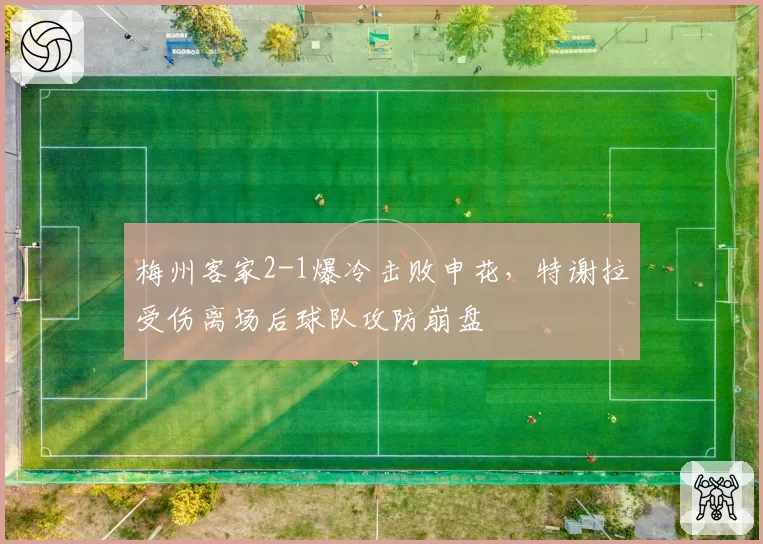 梅州客家2-1爆冷击败申花,特谢拉受伤离场后球队攻防崩盘