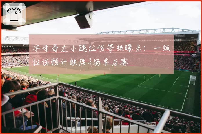 字母哥左小腿拉伤等级曝光:一级拉伤预计缺席3场季后赛