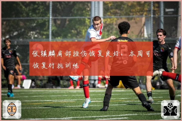 张镇麟肩部挫伤恢复良好,本周可恢复对抗训练