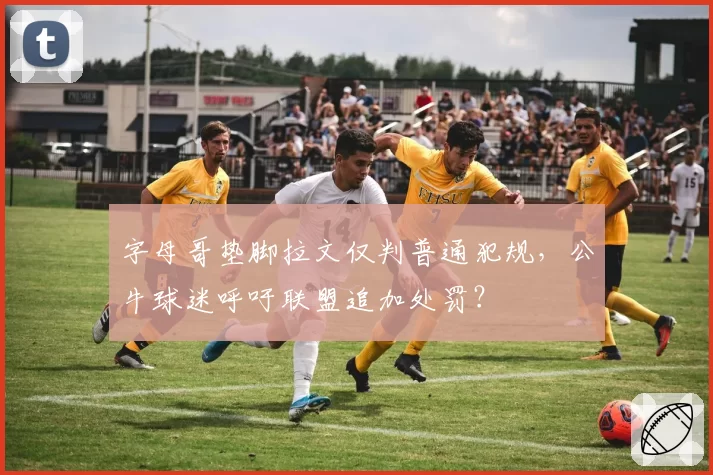 字母哥垫脚拉文仅判普通犯规，公牛球迷呼吁联盟追加处罚？
