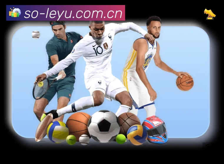 乐鱼平台展示图